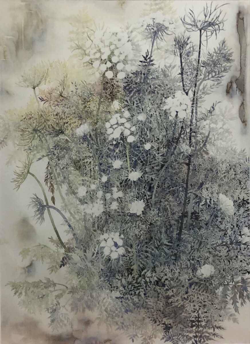 安井陽子